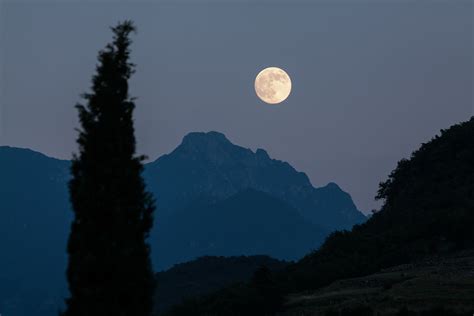When and where does the <b>Moon rise</b> and set?. . What time will the moonrise tonight